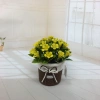 Mini artificial bonsai flowers, small potted plants, factory direct sales of artificial flower plants Application Scenario